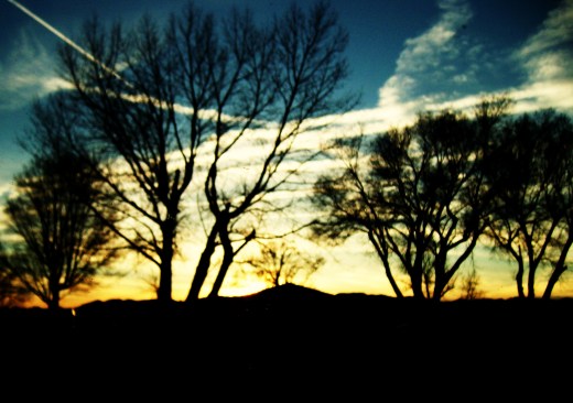 trip to cali and misc 049