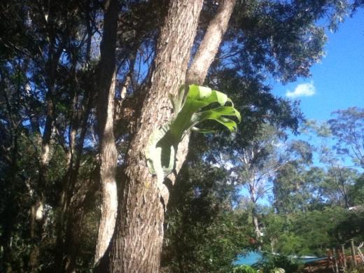 1014294_10201255748863925_2079165958_n