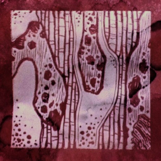 1061086_10201488280717076_1489435251_n