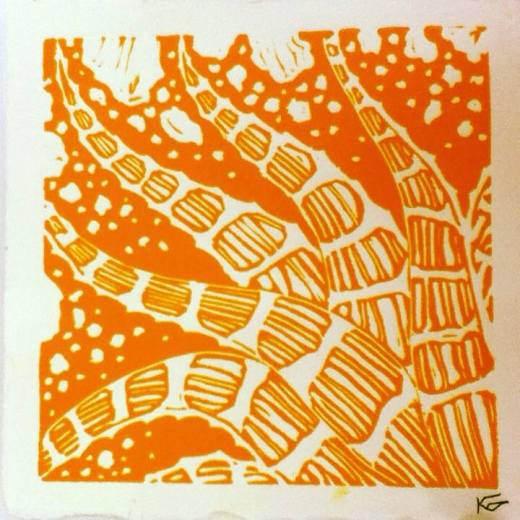 1068845_10201528244156137_1607880662_n