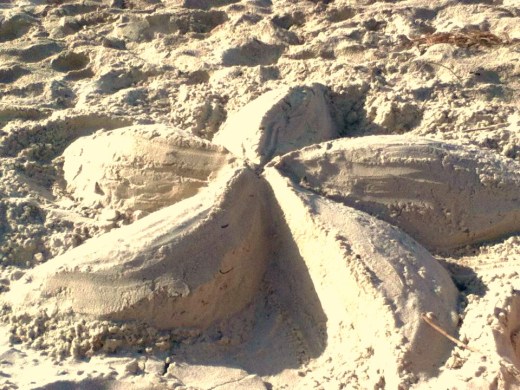 frangipani sand sculpture