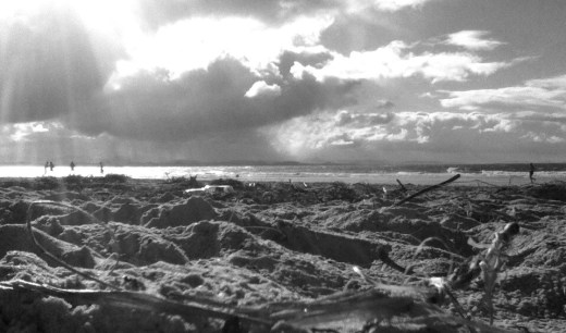 1080142_10201568148553722_1022943451_n