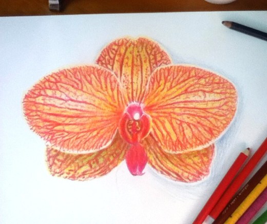 1080647_10201661098277407_2060722544_n