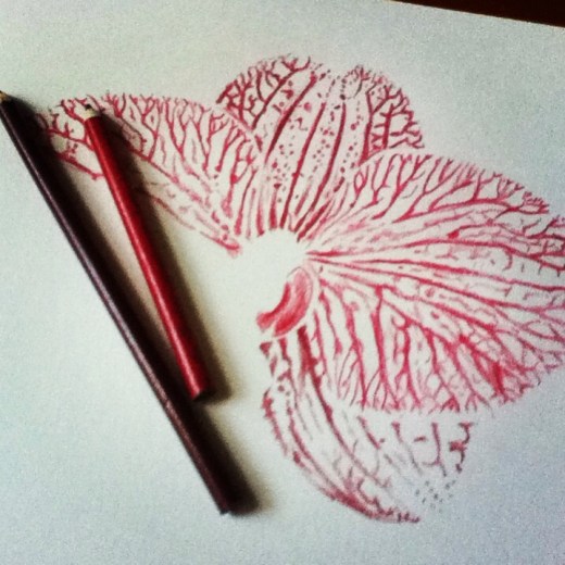 1082730_10201661101437486_383038755_n