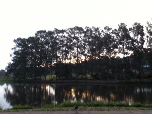 1004704_10201828084451957_1617430650_n