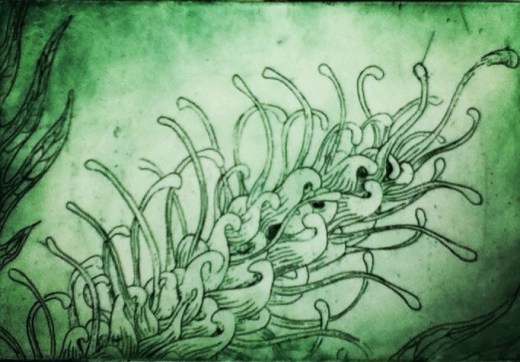 1082314_10201834869581581_1241421231_n