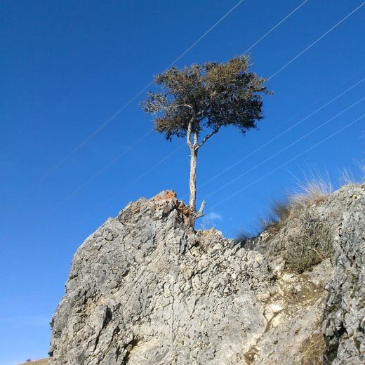 1922751_10203068873710913_1368232478_n