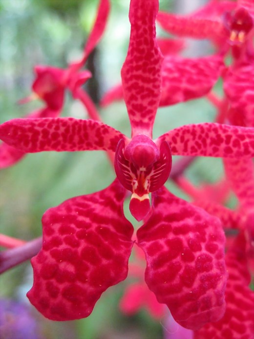 5131289620_c444afae69_o