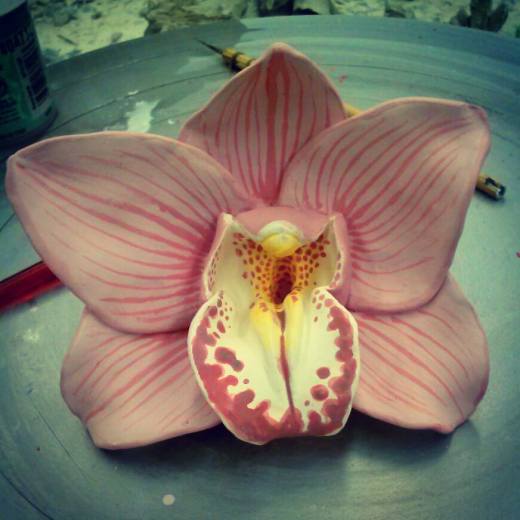 10152770_10203382769558113_1096813889_n