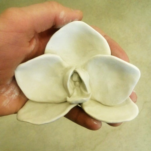 1779394_10203038362228145_1607453648_n