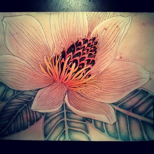 10151643_10203425412944171_97508567_n