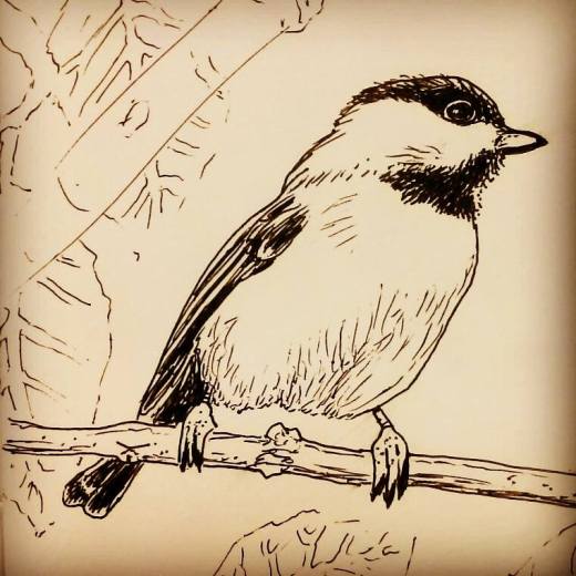 10816052_10205322928380871_1079259086_n