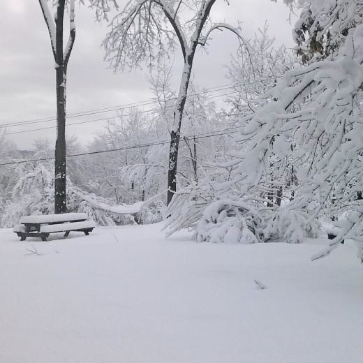 10833747_10205308463299253_1133891220_n