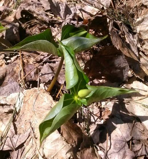 11178664_10206531007622097_1606548129_n