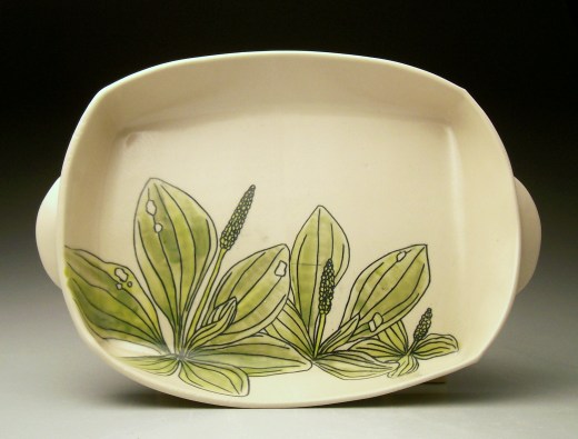 Botacnically Illustrated Simon's Rock last kiln 032